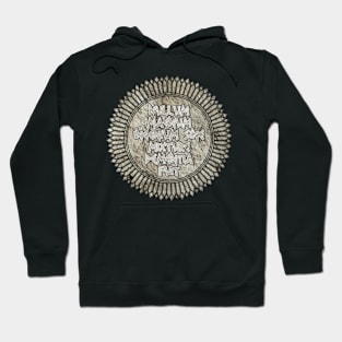 Nullum Magnum Ingenium Sine Mixture Dementia Fuit (There Has Been No Great Wisdom Without an Element of Madness) Hoodie